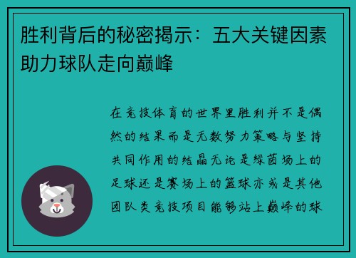 胜利背后的秘密揭示：五大关键因素助力球队走向巅峰